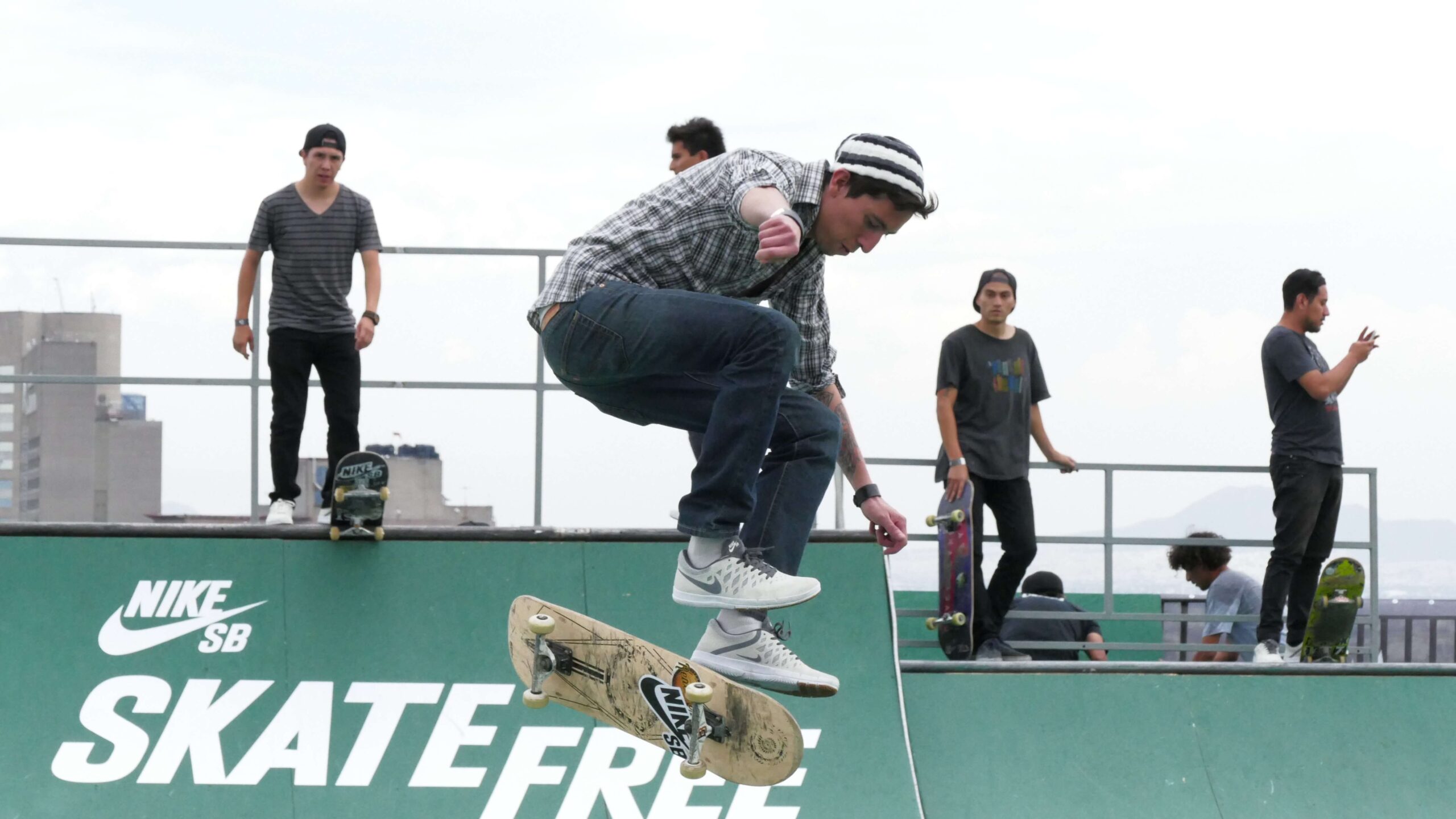 628e768eed341cab075f92ee L1000652