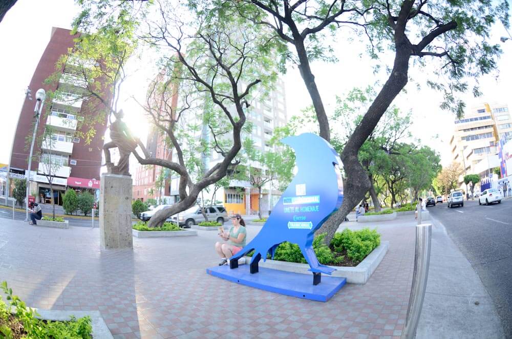 628e7b238a09476e2e4d3c60 TRADI 8 de 16