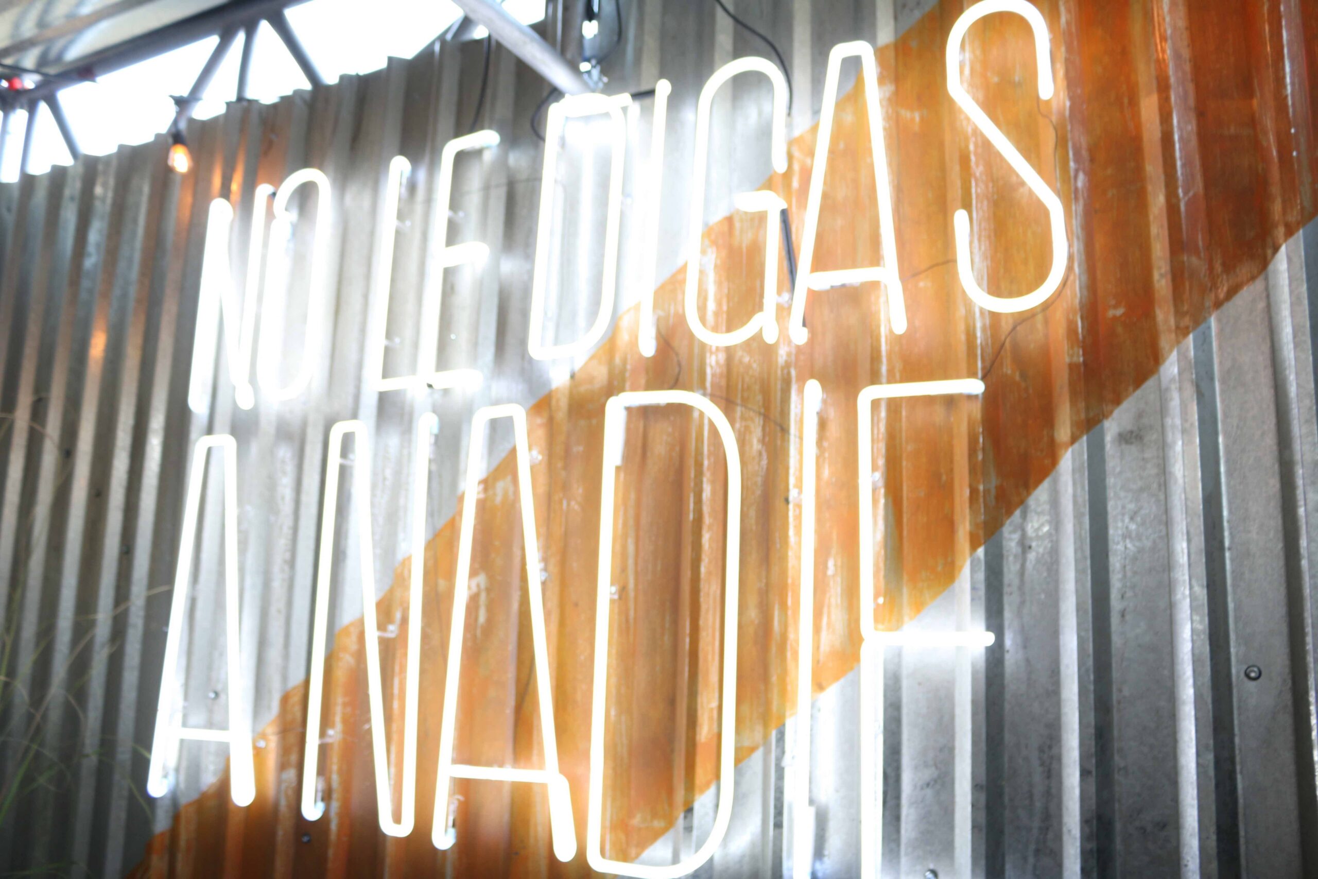 62901719567df7200c6ebd4d IMG 1691 copia