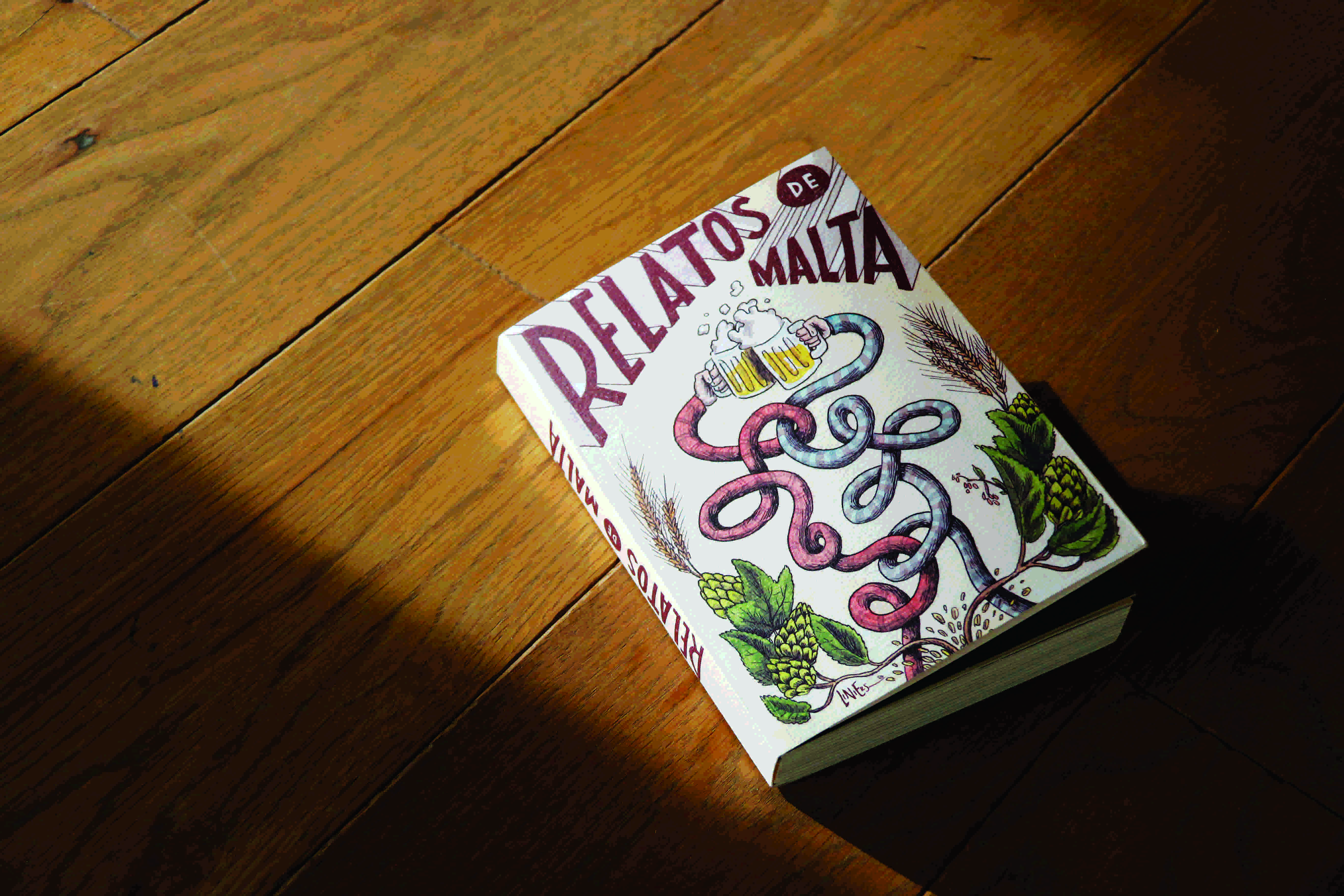 629021584dc5a9774d83ab55 MG 6930 1 copia