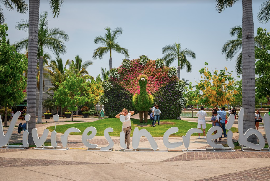 629023a03493e6ddb58162a6 Captura de pantalla 2019 07 10 a las 13.45.31