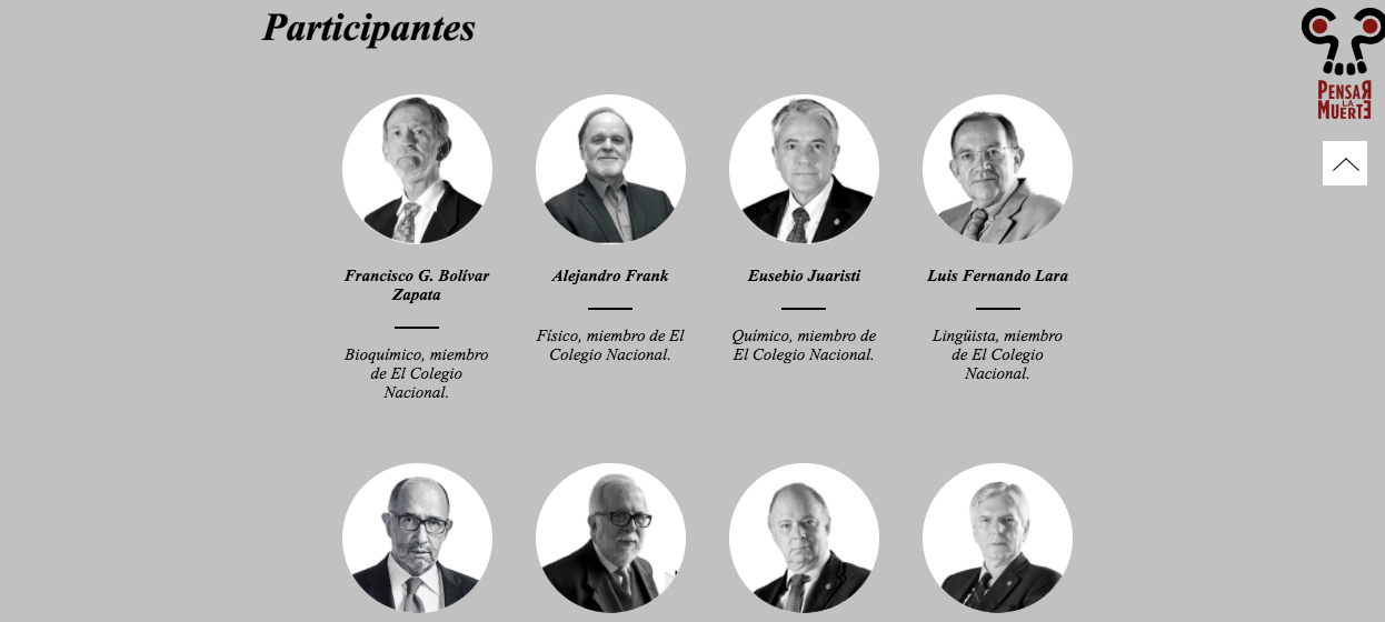 629149c351393724587b0df8 Captura de pantalla 2016 12 29 a las 13.20.23