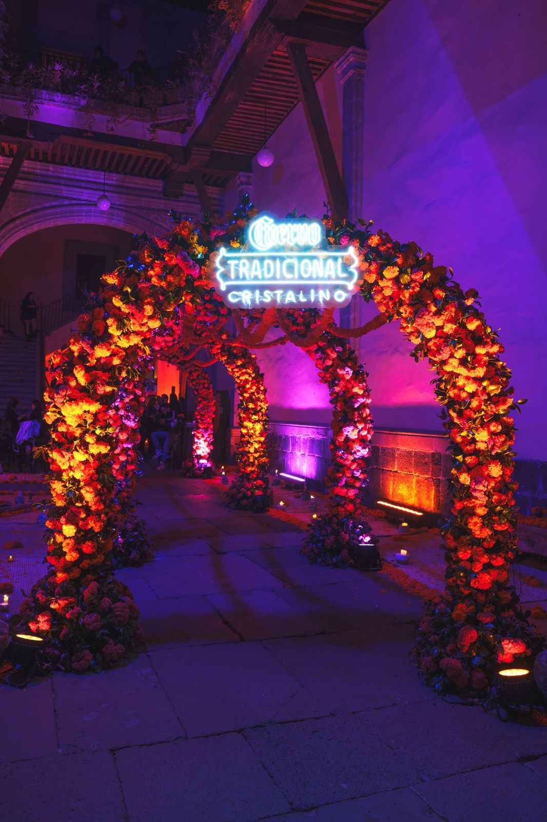 65541991b1e55071ecc5c8ee f3dzcVGa