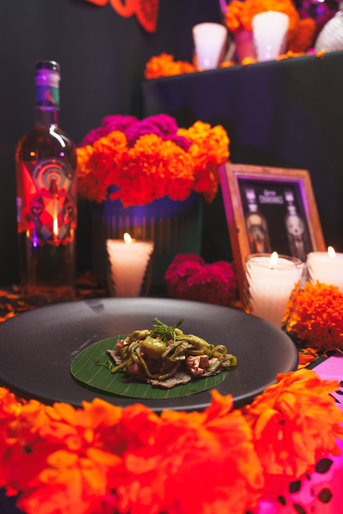 65541bbadd868e72cad51c13 DSC08503 Edit