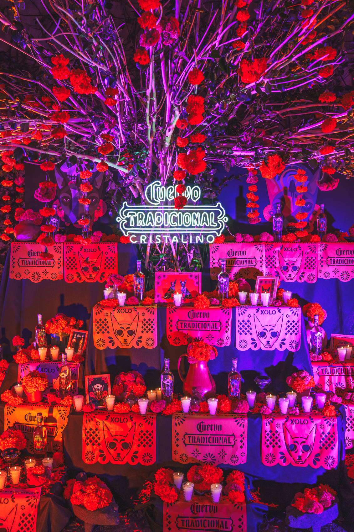 65541bbf62a1c653c5b35ed7 DSC08468 Edit