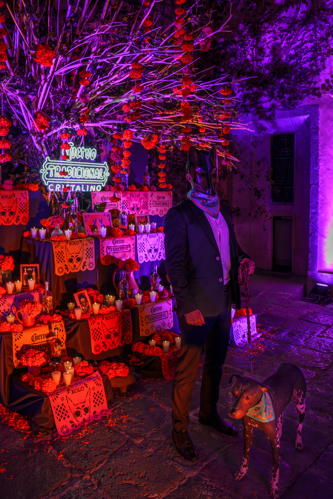 65541bc022bdf40cc8599ecb DSC08464 Enhanced NR Edit