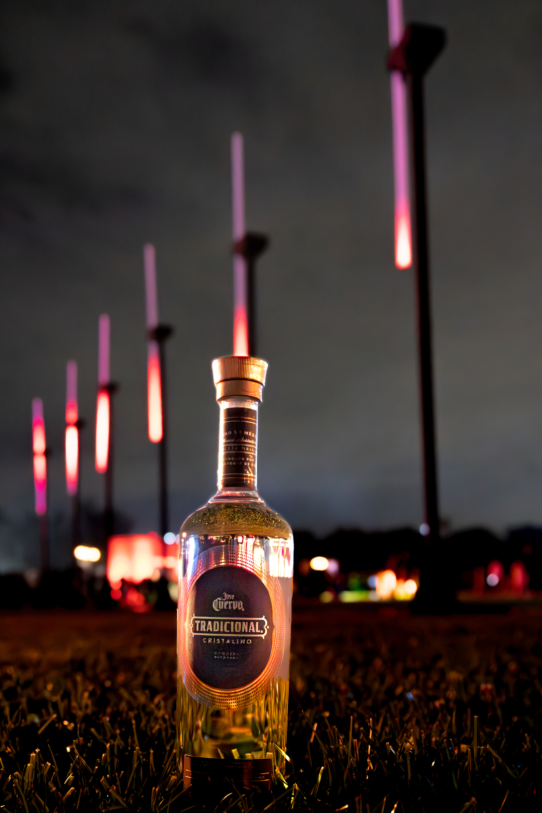 655fddfe101cc46021c88fc0 VIVAFEST 012