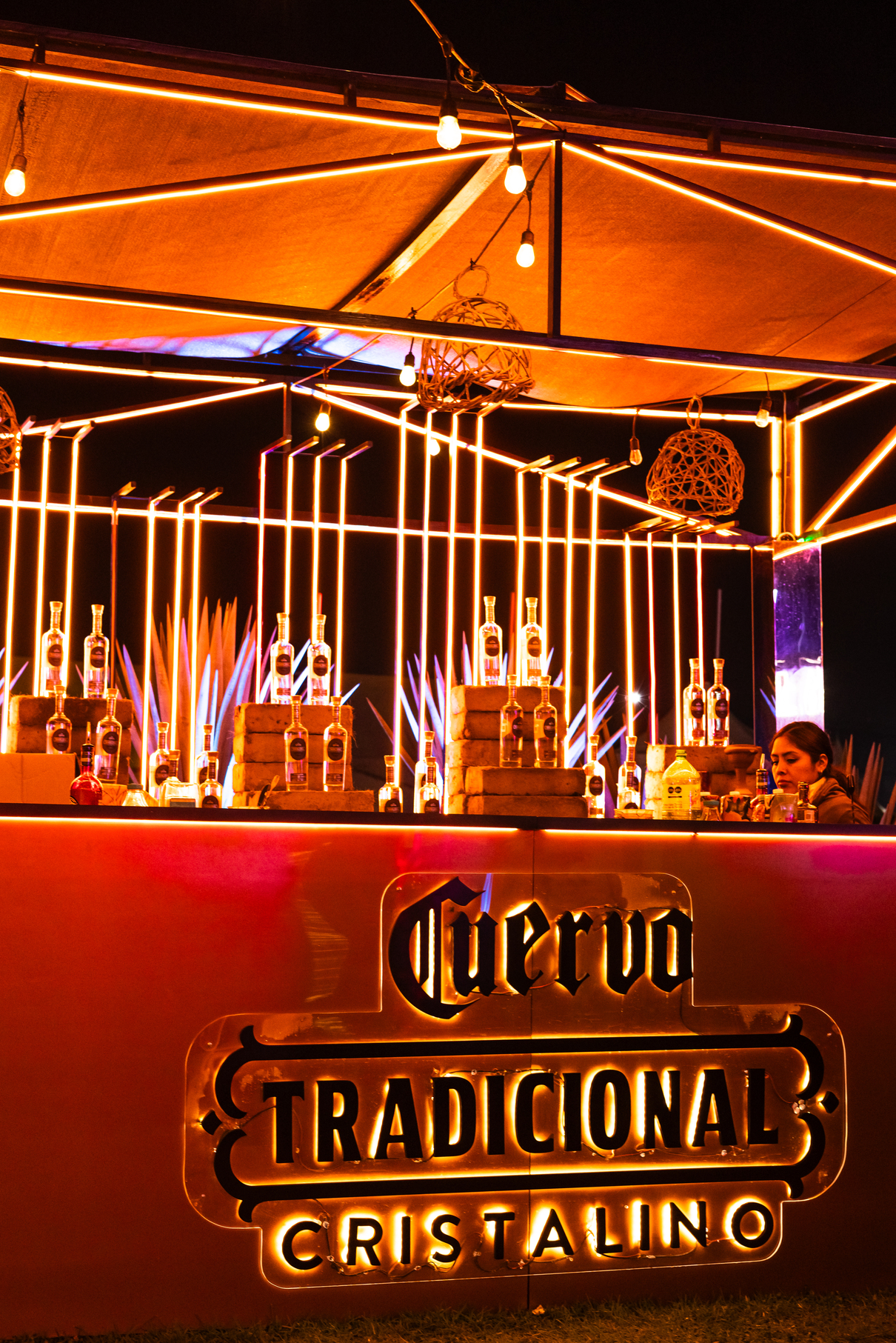 655fec8c3513d0901eadcde9 VIVAFEST 094