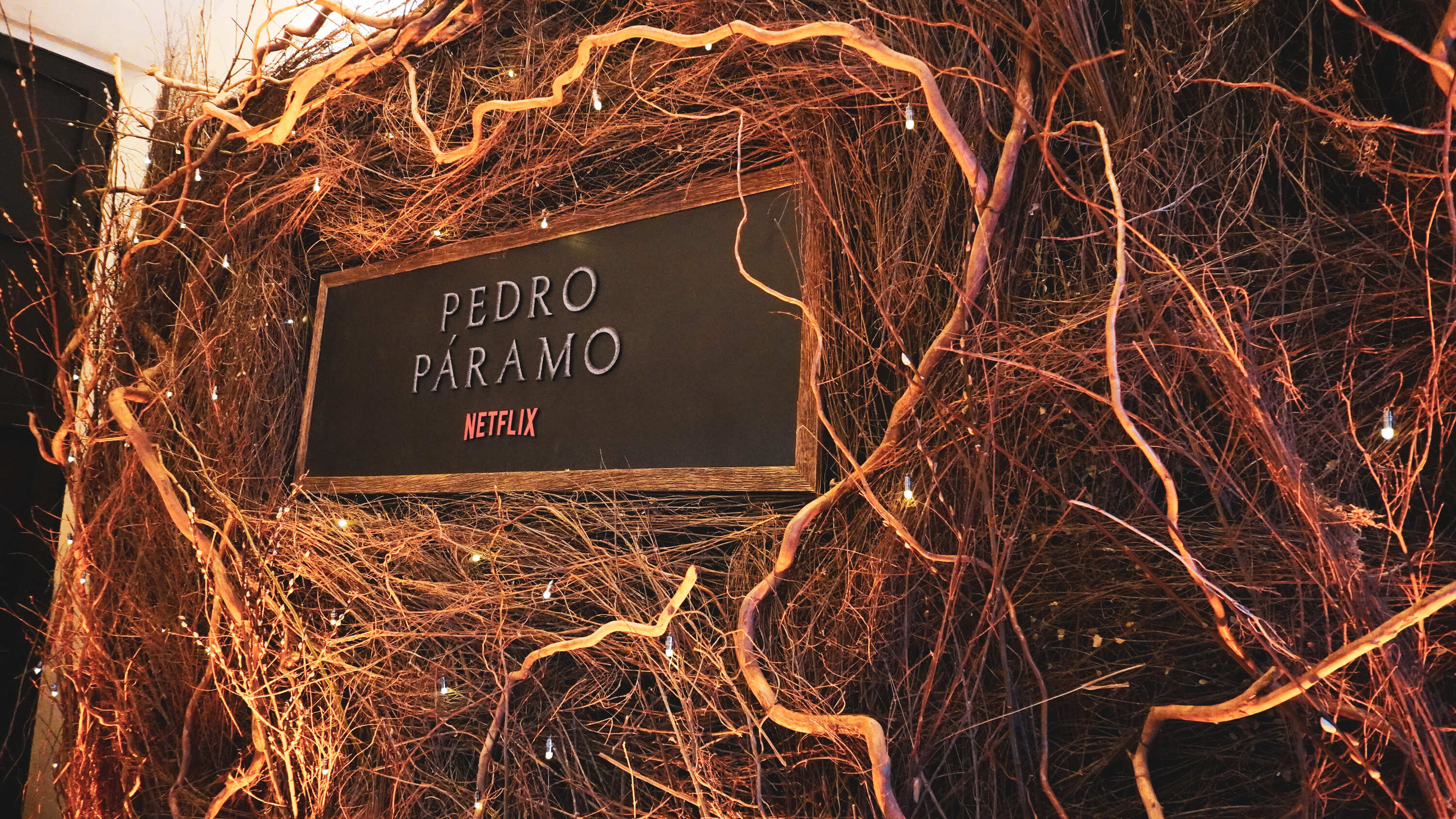 673136dec1f50738427765c3 DSC03906